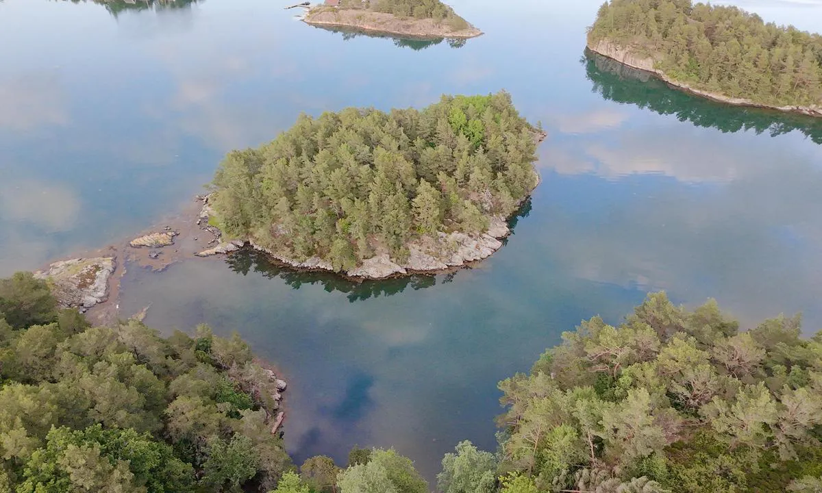 Furuholmen - Ausvika