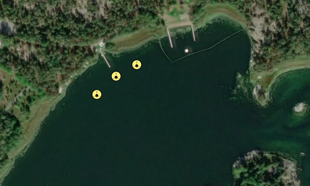 Satelite image of Fyrfjärden