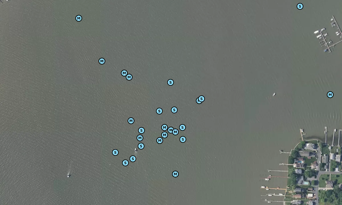 Satelite image of Galloway Creek