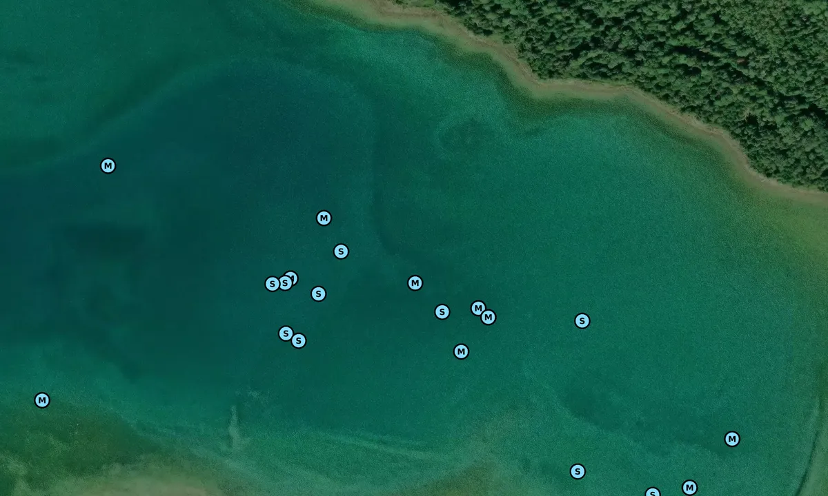 Satelite image of Garden Island