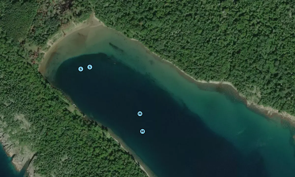 Satelite image of Gargantua Harbor