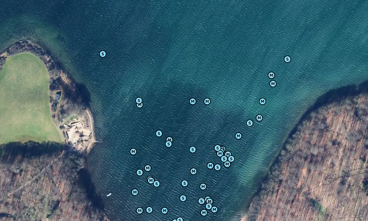 Satelite image of Genner Bugt
