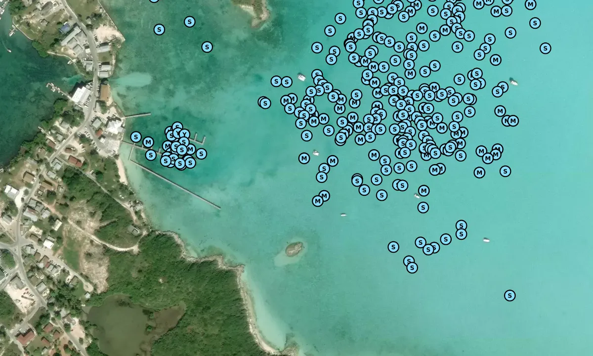 Satelite image of George Town - Exuma