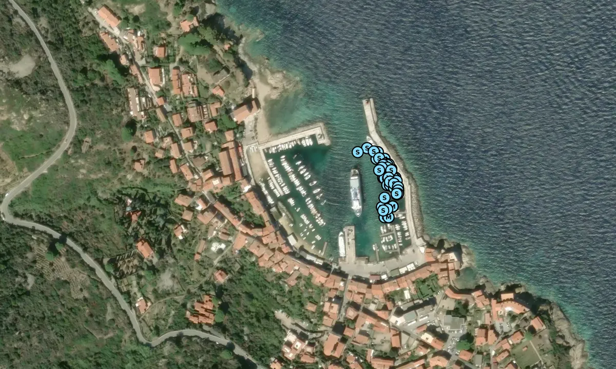 Satelite image of Giglio Porto