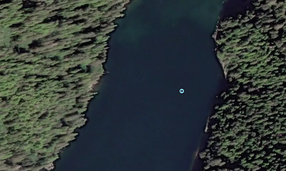 Satelite image of Gilmer Bay - 3
