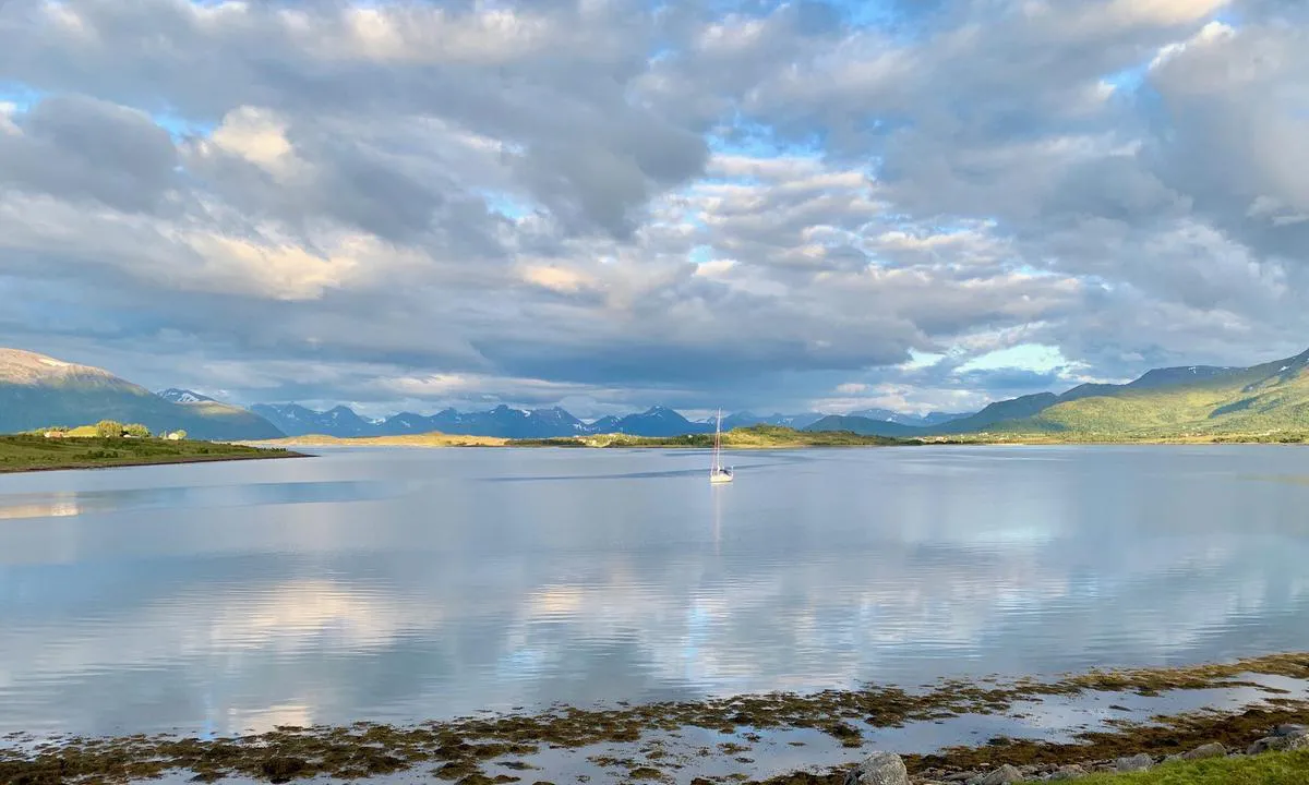 Gisløyflaket
