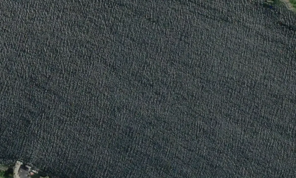 Satelite image of Gjelsvika