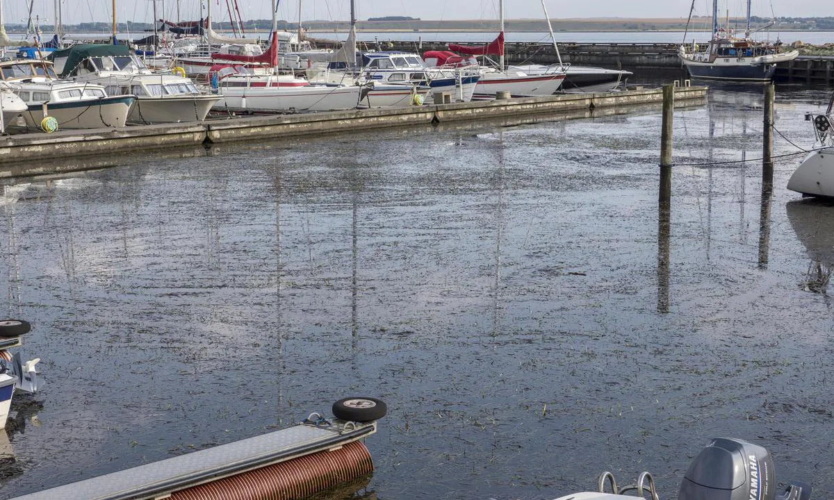 Gjøl Fiskeri og Lystbådehavn