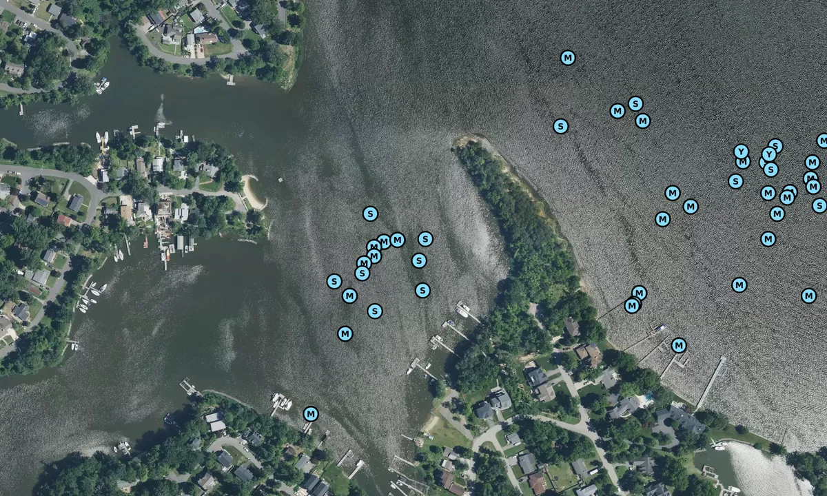 Satelite image of Glebe Creek