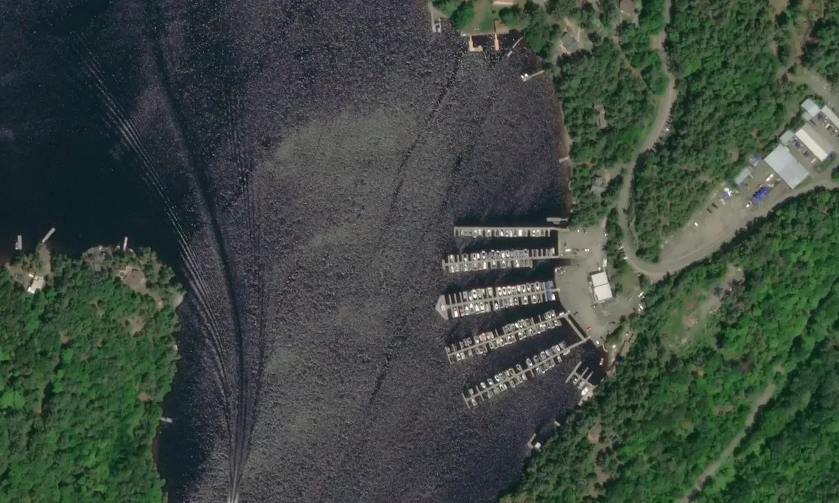 Satelite image of Glenn Burney Marina - Seguin