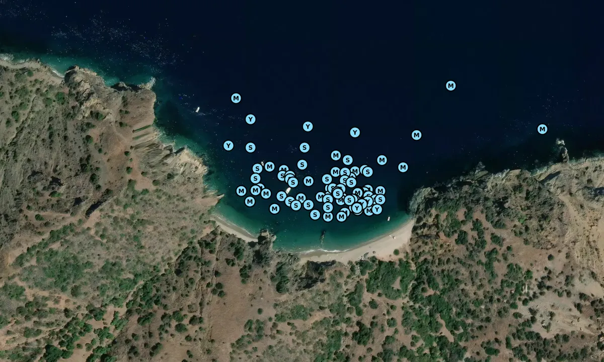 Satelite image of Goat Harbor