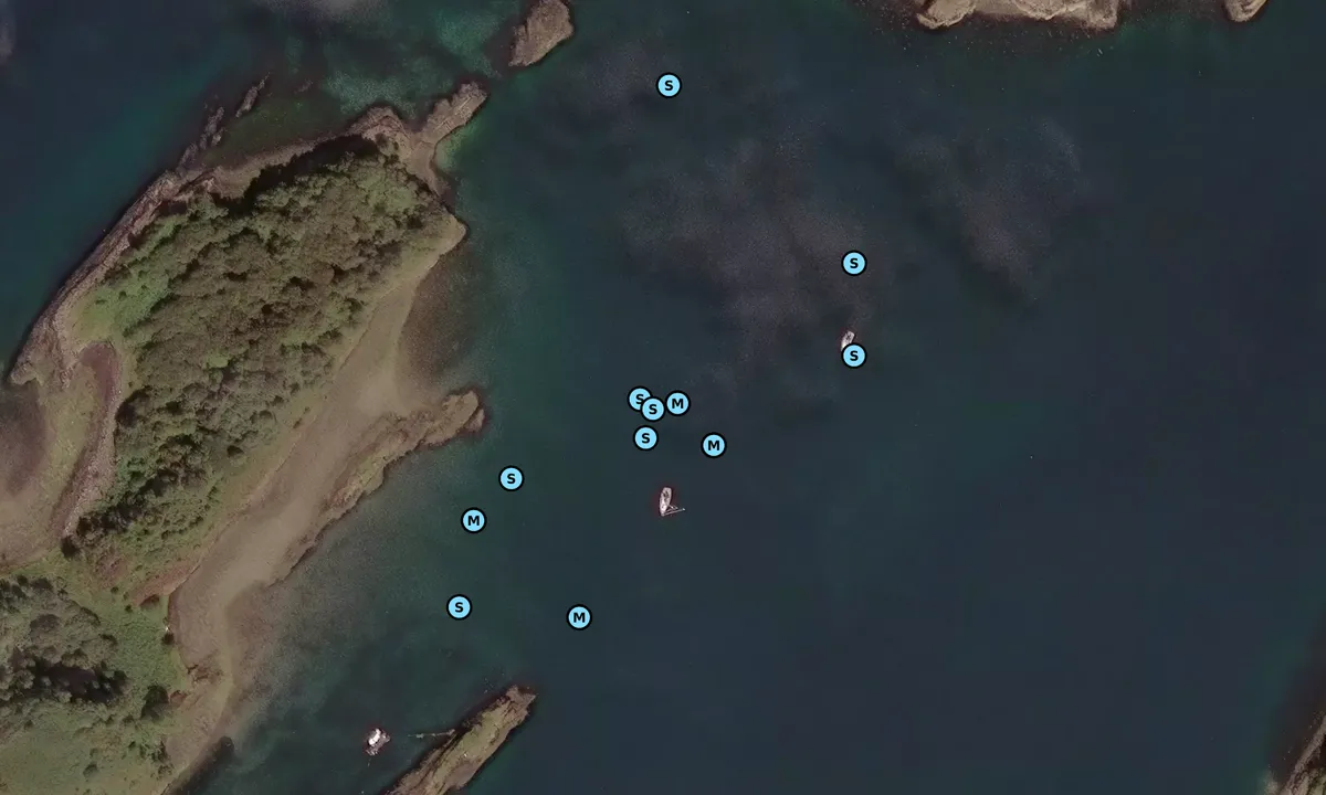 Satelite image of Goat Island 1