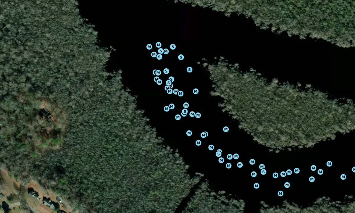 Satelite image of Goat Island - 1
