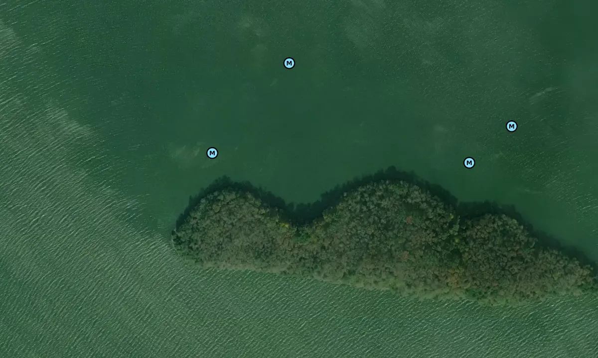 Satelite image of Goat Island - Grant