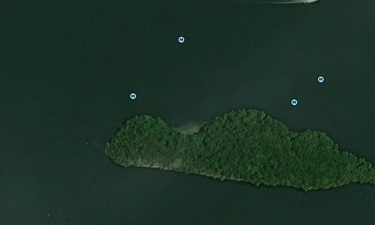 Satelite image of Goat Island - Grant