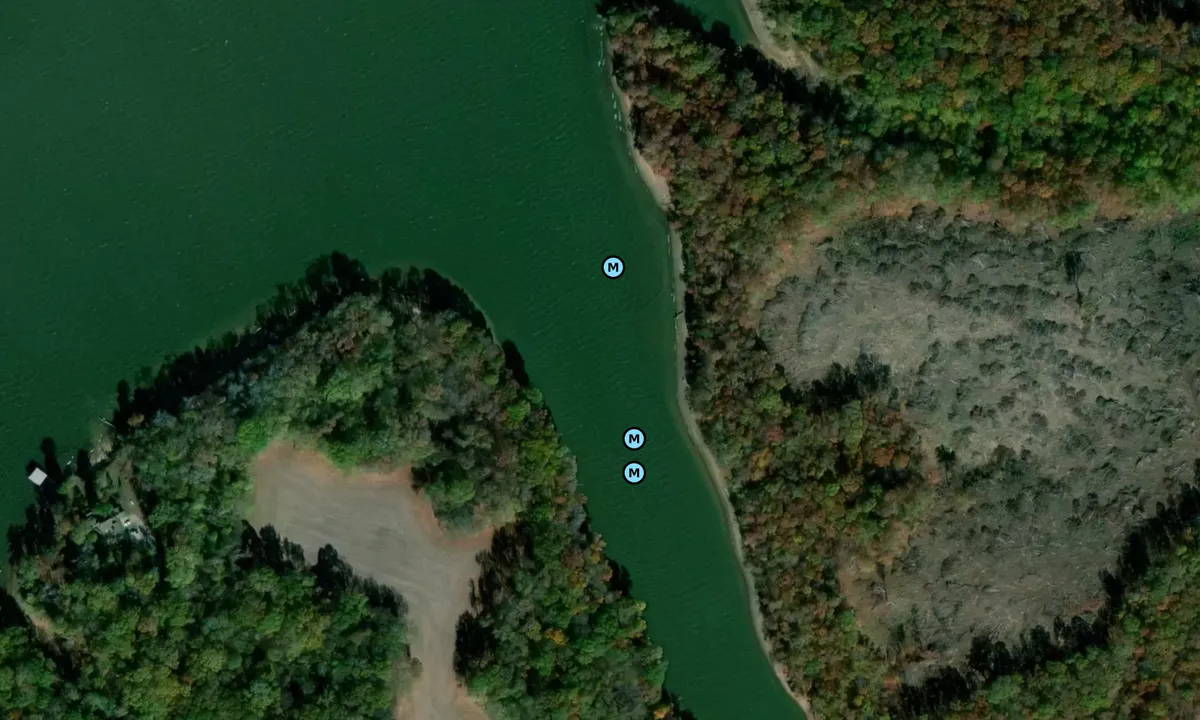 Satelite image of Goldfield Branch