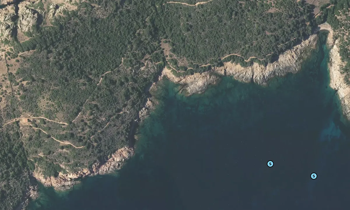 Satelite image of Golfe de Péru - Cargèse - Cargèse