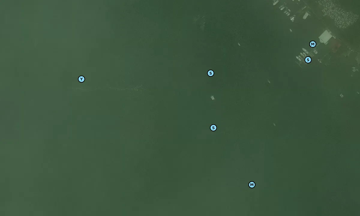 Satelite image of Golfito Bay