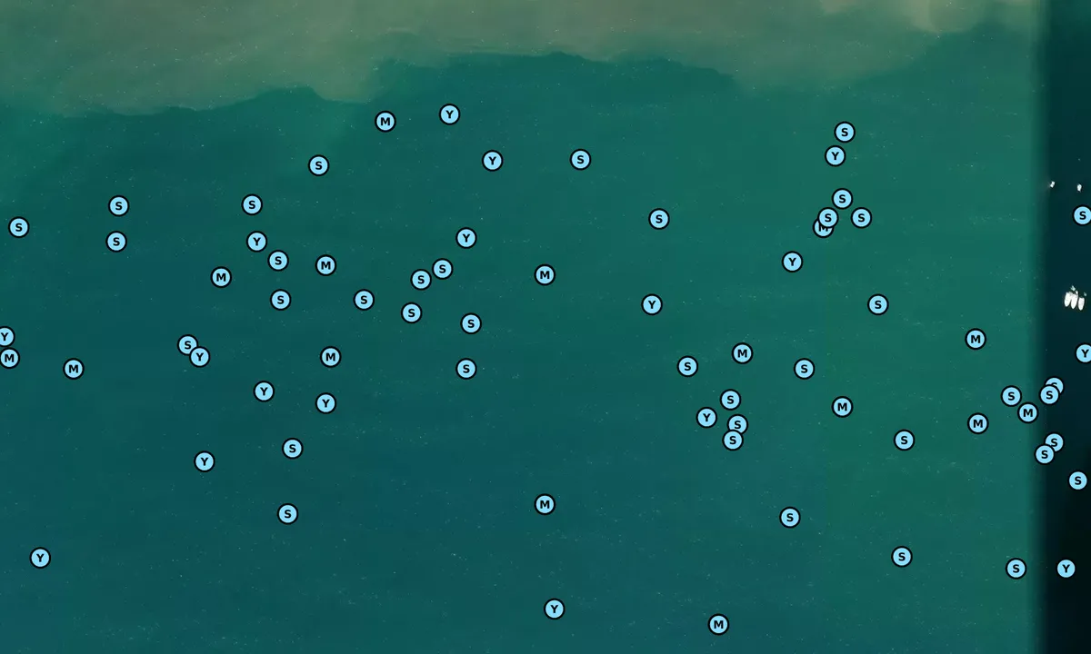 Satelite image of Golfo Della Lacona