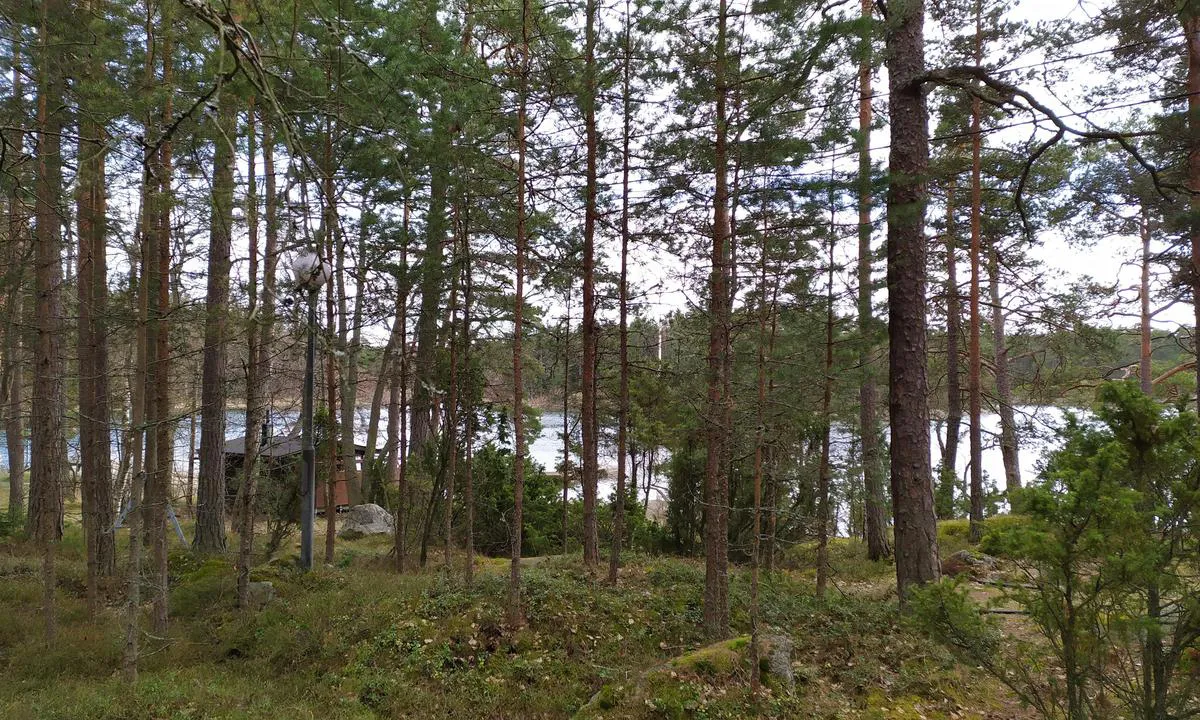 Gölisnäs: {"base": "en", "no": "Badstue etter reservasjon.", "se": "Bastu kan bokas.", "en": "Sauna by reservation.", "da": "Sauna efter reservation."}