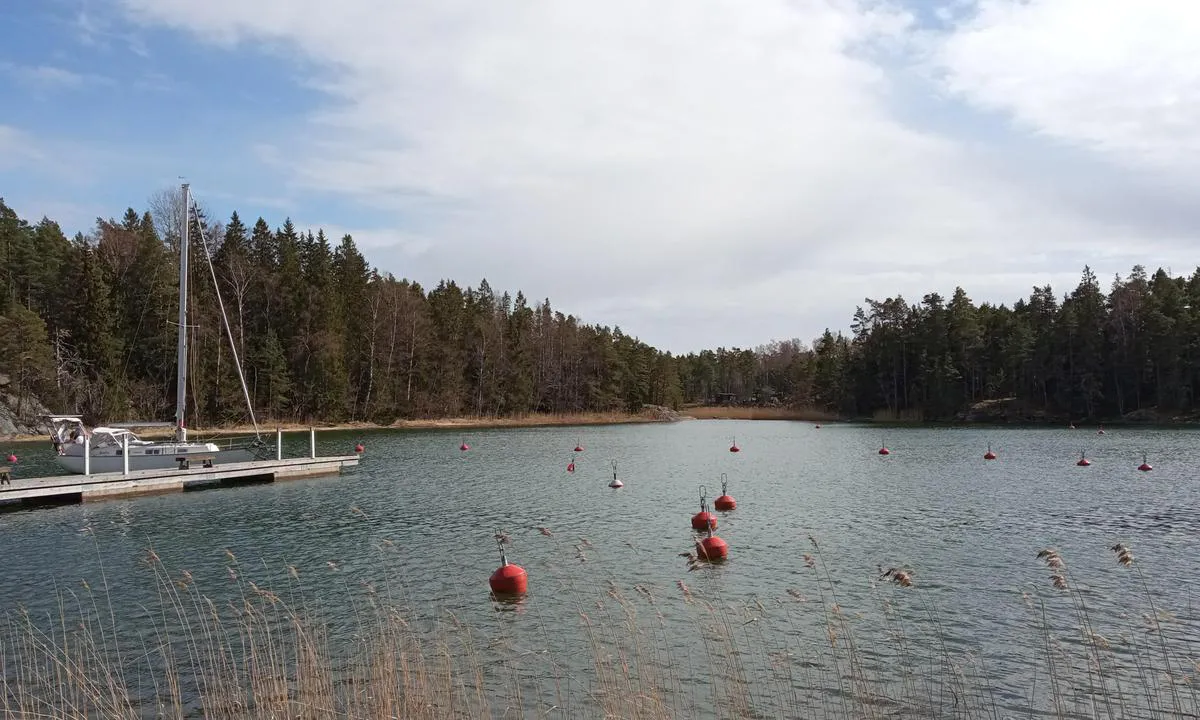 Gölisnäs: {"base": "fi", "no": "<h2>Kohde</h2><h3>G\u00f6lisn\u00e4s</h3><div class=\"intro\"><p>G\u00f6lisn\u00e4s on merellinen virkistysalue Inkoon Bar\u00f6sundissa, aivan Kopparn\u00e4sin ja Stora Fager\u00f6n vieress\u00e4. G\u00f6lisn\u00e4sin laiturit ja virkistysalue tar- joavat erinomaiset puitteet veneilij\u00f6ille sek\u00e4 muille ulkoilusta nauttiville. Luonto <a href=\"https://uuvi.fi/luontokohteet/\">Uuvi.fi</a></p></div><div class=\"harbour\"><div><strong>Sataman syvyys:</strong></div><div>2,4 m</div></div><div class=\"reservations\"><h3>Varausk\u00e4yt\u00e4nn\u00f6t</h3><p><strong>Varaukset:</strong></p><p>Laituripaikkoja varattavissa. Ota yhteytt\u00e4 <a href=\"mailto:info@golisnas.fi\">info@golisnas.fi</a></p></div>", "se": "uuvi.fi/sv/destination/golisnas/", "en": "Visit uuvi.fi/fi/kohde/golisnas/ for the detailed harbour guide.", "da": "<p>G\u00f6lisn\u00e4s \u00e4r en natursk\u00f6n hamn i \u00f6nskem\u00e5lens trakter. H\u00e4r finns 25-30 b\u00e5tplatser, med boj och sidof\u00f6rt\u00f6jningar. Hamnen \u00e4r skyddad fr\u00e5n alla vindar. Djup vid bryggorna ligger p\u00e5 omkring 1,5 meter.</p>\n<p>Hamntj\u00e4nster:<br>\n- Bastu<br>\n- Vatten<br>\n- Avfallshantering</p>\n<p>Till\u00e4ggsuppgifter:<br>\n- Grillplatser och picknickomr\u00e5den<br>\n- Naturrutter med informationsskyltar</p>", "fr": "golisnas est situ\u00e9 dans la belle r\u00e9gion de l'archipel de Turku, \u00e0 une courte distance de la mer Baltique. Le port offre des services tels que l'\u00e9lectricit\u00e9, l'eau, les douches et une connexion Wi-Fi. Il est \u00e9galement \u00e9quip\u00e9 de bou\u00e9es d'amarrage et de places pour les bateaux de passage. Vous trouverez un restaurant lors des heures d'ouverture. C\u2019est un endroit id\u00e9al pour explorer les \u00eeles et profiter de la tranquillit\u00e9 de la nature.", "de": "uuvi.fi/de/ziel/golisnas/", "es": "uuvi.fi/es/destino/golisnas/", "it": "<p><strong>Golisn\u00e4s</strong> \u00e8 un porto naturale situato nella parte interna dell'arcipelago di Hitis. Il porto \u00e8 ben protetto dalle isole circostanti e offre un rifugio sicuro per i marinai anche con condizioni meteorologiche avverse. Le coordinate del porto sono 59\u00b052.0'N, 22\u00b030.5'E.</p><p>Le imbarcazioni dovrebbero entrare nel porto navigando intorno agli scogli e prestando attenzione alle boe di segnalazione. L'ancoraggio \u00e8 disponibile in prossimit\u00e0 del molo principale, ed \u00e8 consigliato usare una cima a terra per una maggiore sicurezza.</p><p>Il villaggio di Hitis \u00e8 raggiungibile con un breve tragitto in gommone e offre servizi come negozi, ristoranti e un piccolo cantiere nautico. \u00c8 un luogo ideale per riposarsi e approvvigionarsi prima di proseguire il viaggio attraverso l'arcipelago.</p><p>Per ulteriori informazioni, visitare <a href=\"https://uuvi.fi/fi/kohde/golisnas/\">sito web ufficiale</a>.</p>", "pt": "uuvi.fi/pt/destino/golisnas/", "nl": "uuvi.fi/fi/kohde/golisnas/", "pl": "uuvi.fi/pl/cel/golisnas/", "uk": "uuvi.fi/fi/kohde/golisnas/", "ro": "Pute\u021bi naviga \u00een siguran\u021b\u0103 p\u00e2n\u0103 la Golinsn\u00e4s folosind aceast\u0103 hart\u0103 interactiv\u0103 <a href='https://uuvi.fi/fi/kohde/golisnas/'>aici</a>. Aceast\u0103 destina\u021bie ofer\u0103 facilit\u0103\u021bi excelente pentru marinari, inclusiv puncte de ancorare sigure \u0219i servicii portuare de \u00eenalt\u0103 clas\u0103. Asigura\u021bi-v\u0103 c\u0103 ave\u021bi toate echipamentele de siguran\u021b\u0103 \u0219i comunica\u021bi constant cu echipa portului pentru un acostaj f\u0103r\u0103 probleme.", "tr": "uuvi.fi/tr/destination/golisnas/", "el": "uuvi.fi/el/prosklisi/golisnas/", "cs": "<h2>Satama</h2>\n<p>G\u00f6lisn\u00e4sin vierassatama sijaitsee Tammisaaren saaristossa, suojaisessa lahdenpoukamassa. Satama tarjoaa vierailijoille 30 paikkaa, joista useimmat ovat aisakiinnityksell\u00e4.</p>\n<h3>Palvelut</h3>\n<ul>\n<li>Vesi</li>\n<li>S\u00e4hk\u00f6</li>\n<li>Sauna</li>\n<li>Suihku</li>\n<li>Kahvila</li>\n<li>Ravintola</li>\n</ul>\n<h3>N\u00e4ht\u00e4vyydet</h3>\n<p>G\u00f6lisn\u00e4sist\u00e4 l\u00f6ytyy my\u00f6s kauniita luontopolkuja ja piknikpaikkoja.</p>", "hu": "<h1>Golisn\u00e4s Kik\u00f6t\u0151 \u00fatmutat\u00f3</h1><p>\u00dcdv\u00f6z\u00f6lj\u00fck Golisn\u00e4s kik\u00f6t\u0151j\u00e9ben. A kik\u00f6t\u0151 k\u00fcl\u00f6nleges szolg\u00e1ltat\u00e1sokat k\u00edn\u00e1l a vitorl\u00e1z\u00f3knak, bele\u00e9rtve az \u00fczemanyag ell\u00e1t\u00e1st \u00e9s a haj\u00f3jav\u00edt\u00e1st is. A kik\u00f6t\u0151 k\u00f6zvetlen konnektivit\u00e1st biztos\u00edt a helyi gasztron\u00f3miai \u00e9lm\u00e9nyekkel \u00e9s bev\u00e1s\u00e1rl\u00f3 lehet\u0151s\u00e9gekkel. K\u00e9rj\u00fck, figyeljen a b\u00f3j\u00e1kra \u00e9s a jelz\u0151f\u00e9nyekre a biztons\u00e1g \u00e9rdek\u00e9ben!</p><ul><li><strong>\u00c9rkez\u00e9si id\u0151:</strong> Nonstop</li><li><strong>Szolg\u00e1ltat\u00e1sok:</strong> V\u00edz, elektromoss\u00e1g, \u00fczemanyag, haj\u00f3rakt\u00e1rak, WC-k \u00e9s zuhanyz\u00f3k</li><li><strong>Elhelyezked\u00e9s:</strong> A parton tal\u00e1lhat\u00f3, k\u00f6nnyen megk\u00f6zel\u00edthet\u0151 aut\u00f3val \u00e9s gyalog</li></ul><p>Tov\u00e1bbi inform\u00e1ci\u00f3\u00e9rt l\u00e1togasson el a honlapunkra: <a href=\"https://uuvi.fi/fi/kohde/golisnas/\">Golisn\u00e4s Kik\u00f6t\u0151</a></p>", "fi": "uuvi.fi/fi/kohde/golisnas/", "bg": "uuvi.fi/fi/kohde/golisnas/", "sr": "<h1>Kohde: G\u00f6lisn\u00e4s</h1>\n<p><strong>Sijainti:</strong> It\u00e4inen Suomenlahti</p>\n<p><strong>Koordinaatit:</strong> 60\u00b023.1' N, 27\u00b018.5' E</p>\n<p><strong>Kuvaus:</strong> G\u00f6lisn\u00e4s on idyllinen satama suojaisassa lahdenpoukamassa. Se tarjoaa hyv\u00e4t palvelut veneilij\u00f6ille, kuten vesipisteet, s\u00e4hk\u00f6liit\u00e4nn\u00e4t ja wc-tilat. Satamasta l\u00f6ytyy my\u00f6s ravintola ja mahdollisuus saunavuoroon.</p>\n<p><strong>Satamaolot:</strong> Hyv\u00e4t suojaavat olot it\u00e4- ja kaakkoistuulilta. Pohja on hiekkapohja, ja syvyys satama-alueella on noin 2-3 metri\u00e4.</p>\n<p><strong>Kiinnittyminen:</strong> Polttomoottorik\u00e4ytt\u00f6iset veneet kiinnittyv\u00e4t laiturin l\u00e4nsipuolelle, purjeveneet it\u00e4puolelle.</p>\n<p><strong>Palvelut:</strong>\n<ul>\n<li>Vesi</li>\n<li>S\u00e4hk\u00f6</li>\n<li>WC</li>\n<li>Ravintola</li>\n<li>Sauna</li>\n</ul>\n</p>\n<p><strong>N\u00e4ht\u00e4vyydet ja aktiviteetit:</strong> L\u00e4heisen luonnonsuojelualueen upeat maisemat ja patikointireitit tarjoavat erinomaisen mahdollisuuden luonnossa liikkumiseen. My\u00f6s kalastus on suosittua alueella.</p>", "et": "uuvi.fi/et/sihtkoht/golisnaes/", "lv": "<p><b>Atra\u0161an\u0101s vieta:</b> Golisn\u00e4s atrodas 60\u00b026,2' N, 21\u00b011,2' E koordin\u0101t\u0113s Rietumsomu arhipel\u0101g\u0101.</p> <p><b>Piest\u0101tnes iesp\u0113jas:</b> Pievienoti pontonu un akmens piest\u0101tnes - dzi\u013cums vari\u0113 no 2,5 l\u012bdz 3,5 metriem.</p> <p><b>Pakalpojumi:</b> Elektr\u012bba, dzeramais \u016bdens, atkritumu tvertnes, WC, du\u0161as, sauna, restor\u0101ns un degvielas uzpildes stacija ir pieejami.</p> <p><b>Darb\u012bbas:</b> Golisn\u00e4s ir lieliska vieta pastaig\u0101m un dabas baud\u012b\u0161anai. Tuvum\u0101 atrodas ar\u012b da\u017ei interesanti v\u0113sturiskie objekti.</p> <p><b>Sazi\u0146a:</b> VHF: Kanal 16 (darba laiks 08:00 - 20:00)</p>", "lt": "uuvi.fi/lt/kohde/golisnas/"}