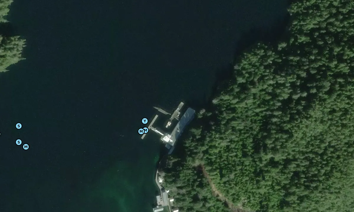 Satelite image of Goose Bay Cannery