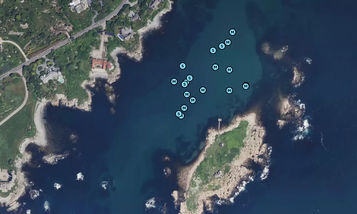 Satelite image of Gooseberry Island