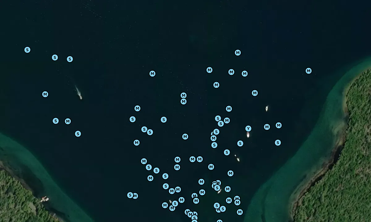 Satelite image of Government Bay - Cedarville