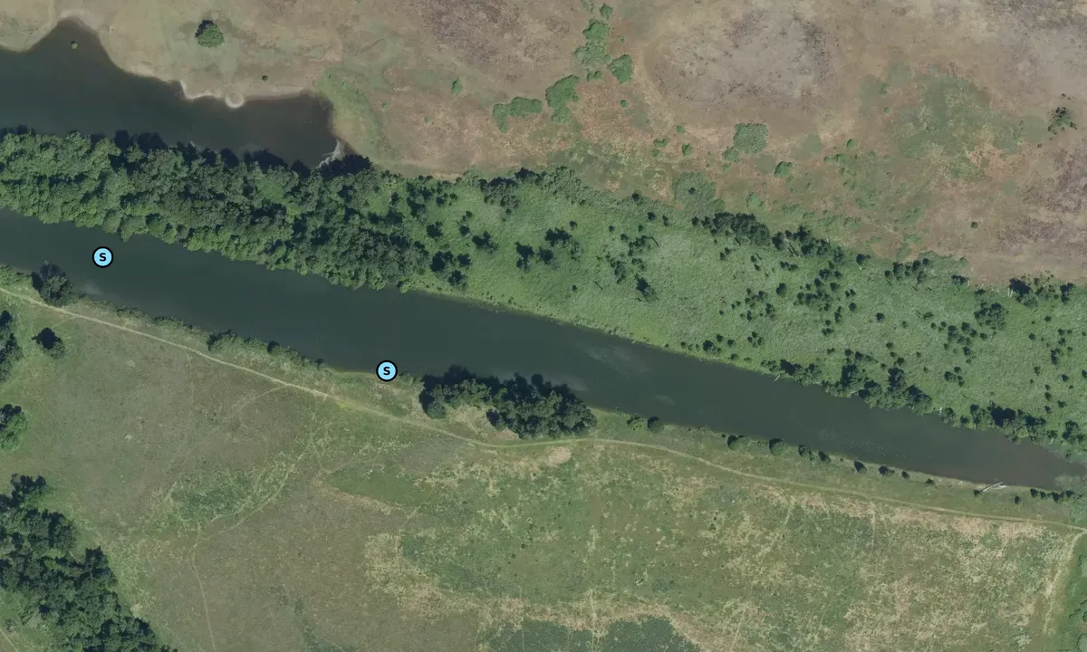 Satelite image of Government Island Slough