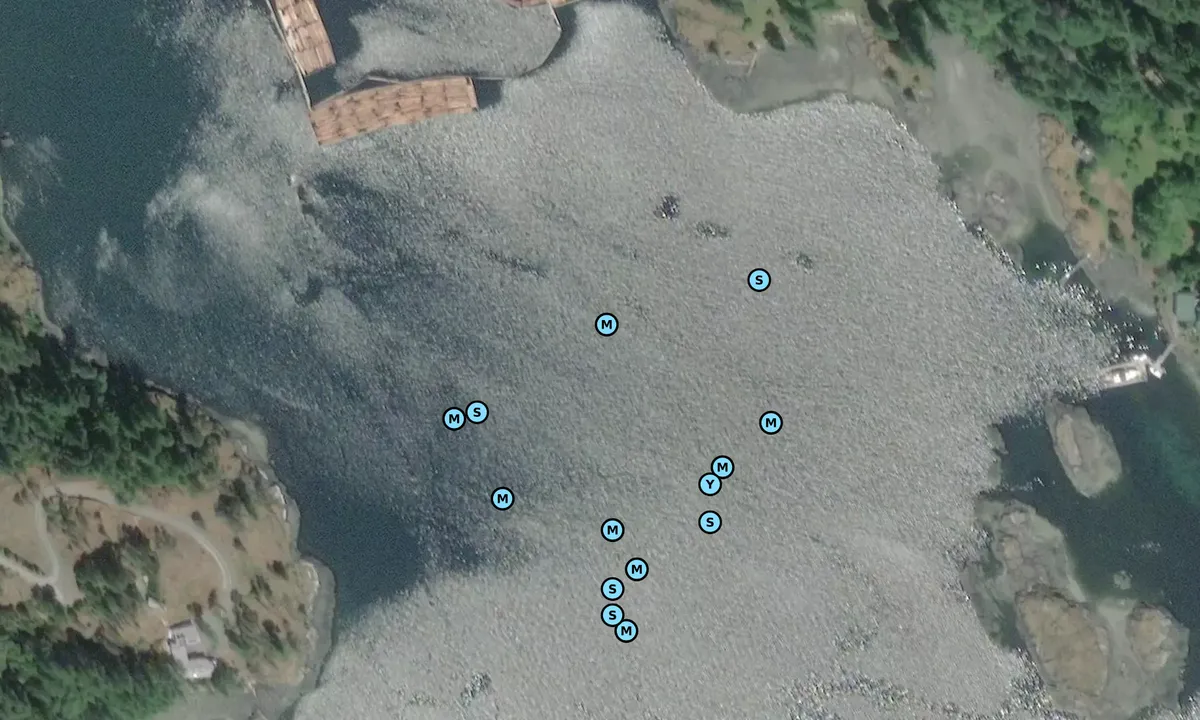 Satelite image of Gowlland Harbor N