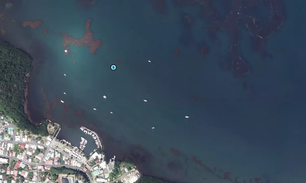 Satelite image of Goyave