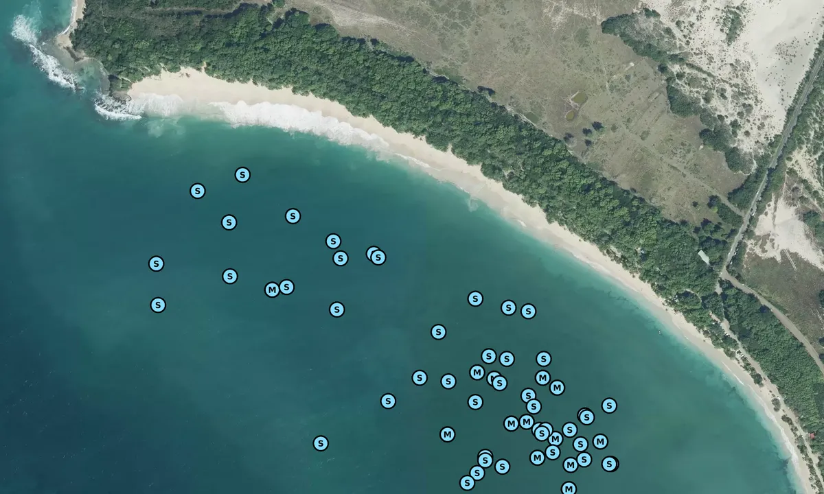Satelite image of Grande Anse des Salines