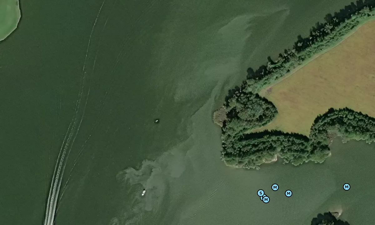 Satelite image of Grapevine Cove