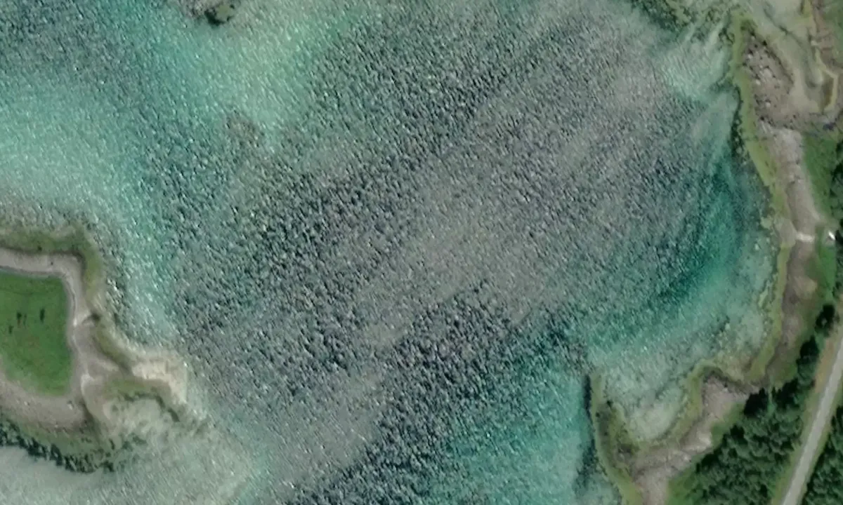 Satelite image of Grasholmen