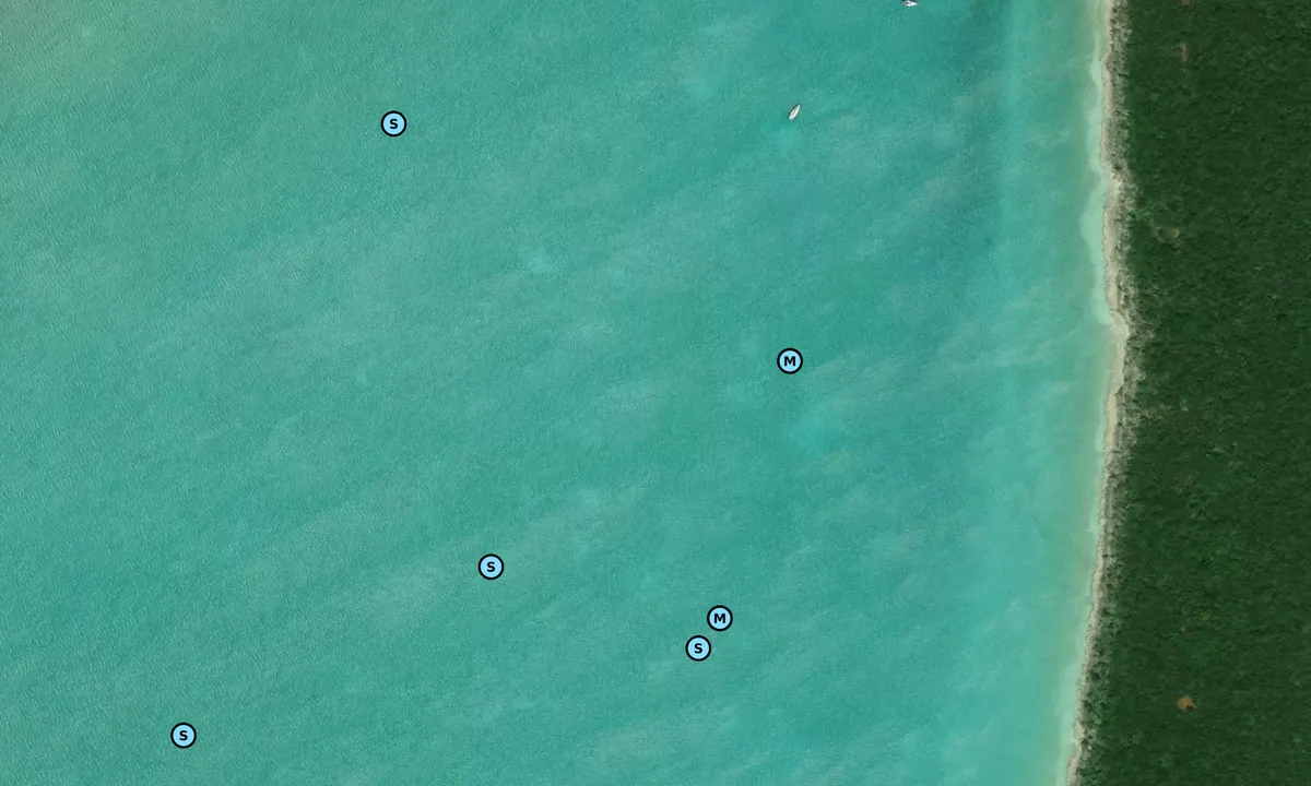 Satelite image of Great Sale Cay - 1