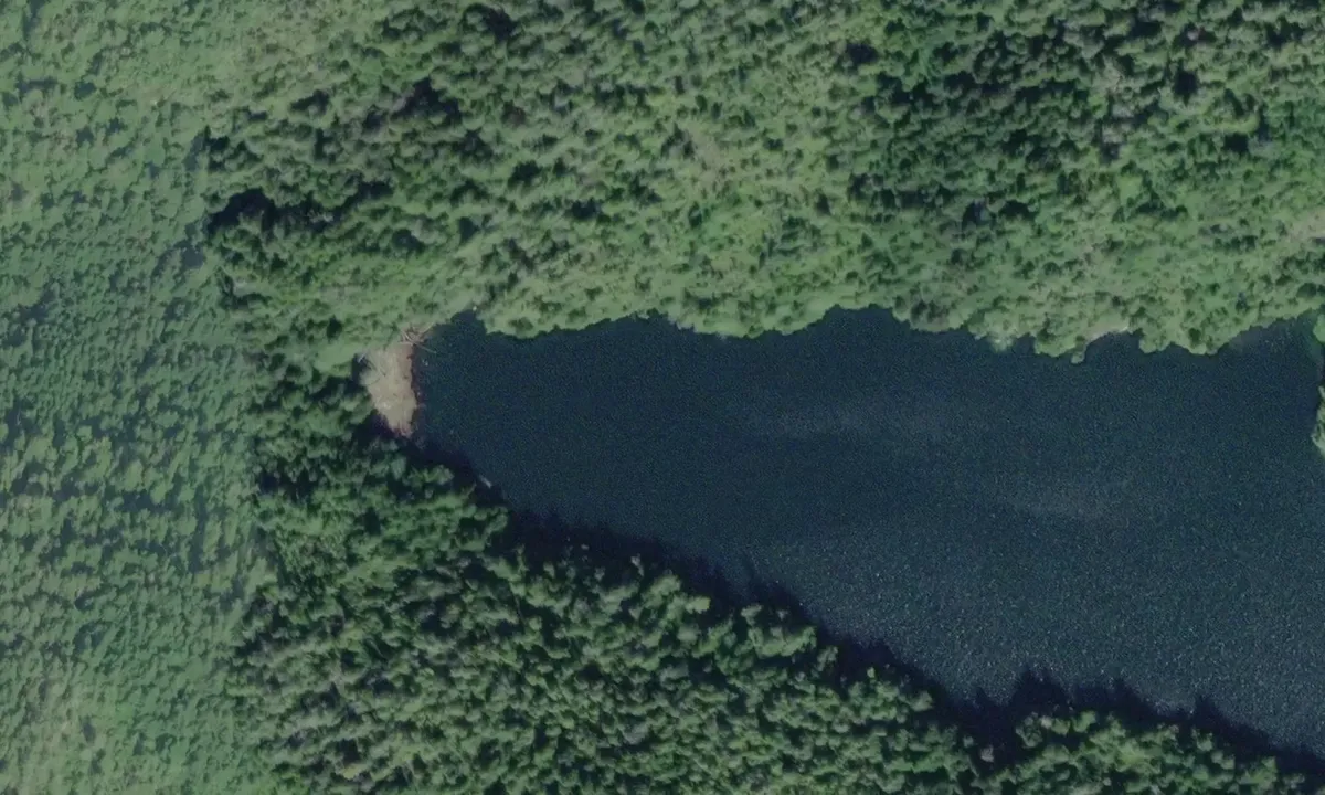 Satelite image of Grebe Cove