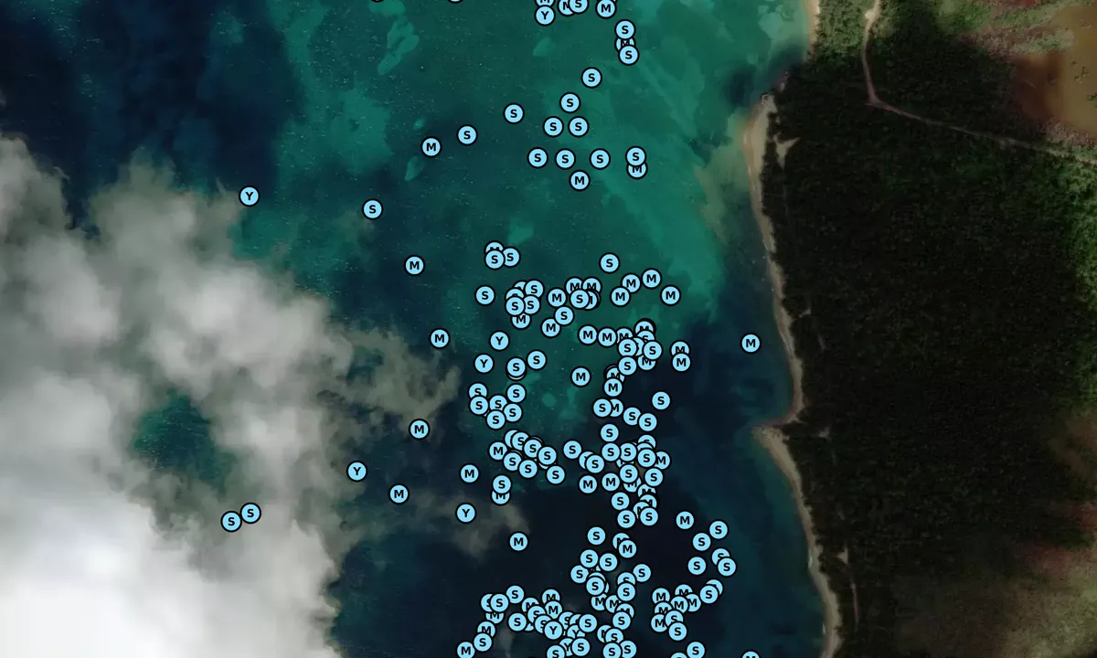 Satelite image of Green Beach (Punta Arena)