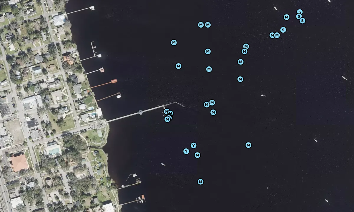 Satelite image of Green Cove Springs City Pier