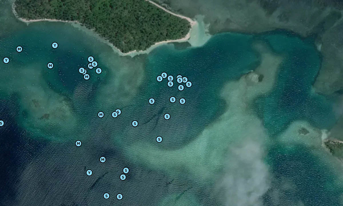 Satelite image of Green Island 1