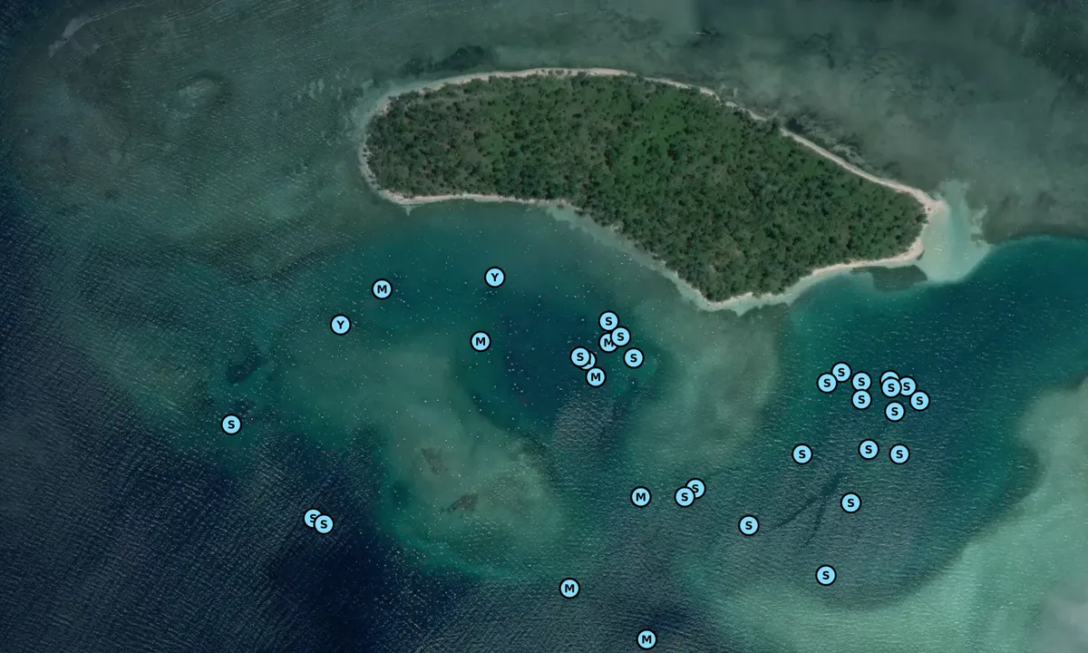 Satelite image of Green Island Anchorage