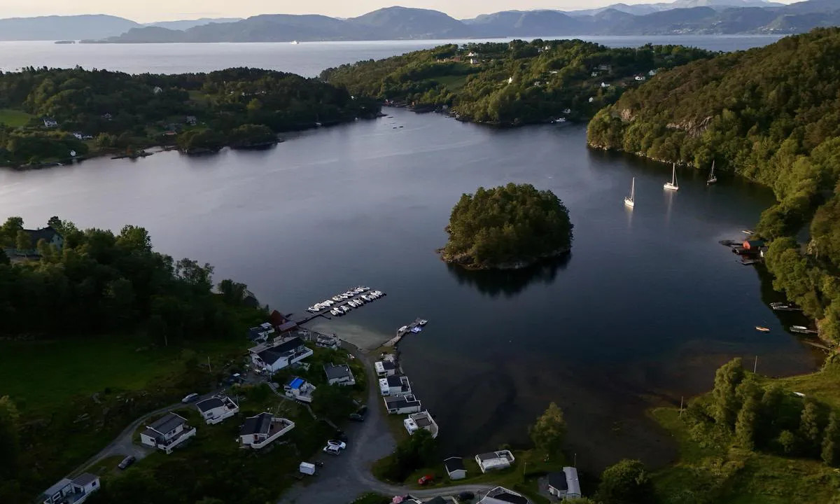 Gripnesvågen