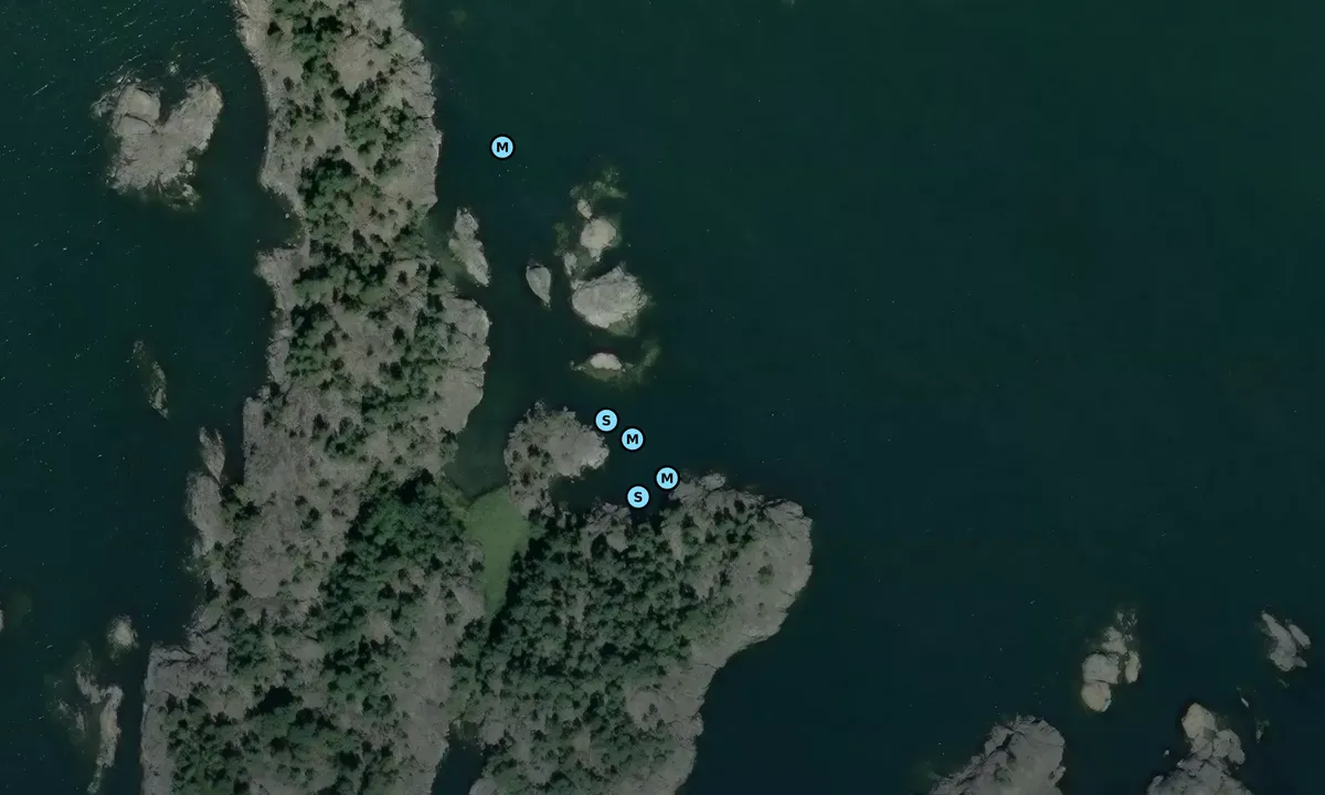 Satelite image of Grisskär