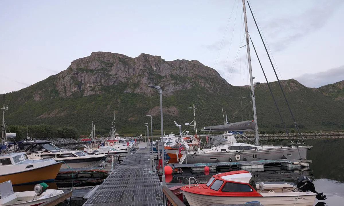 Grunnfarnes