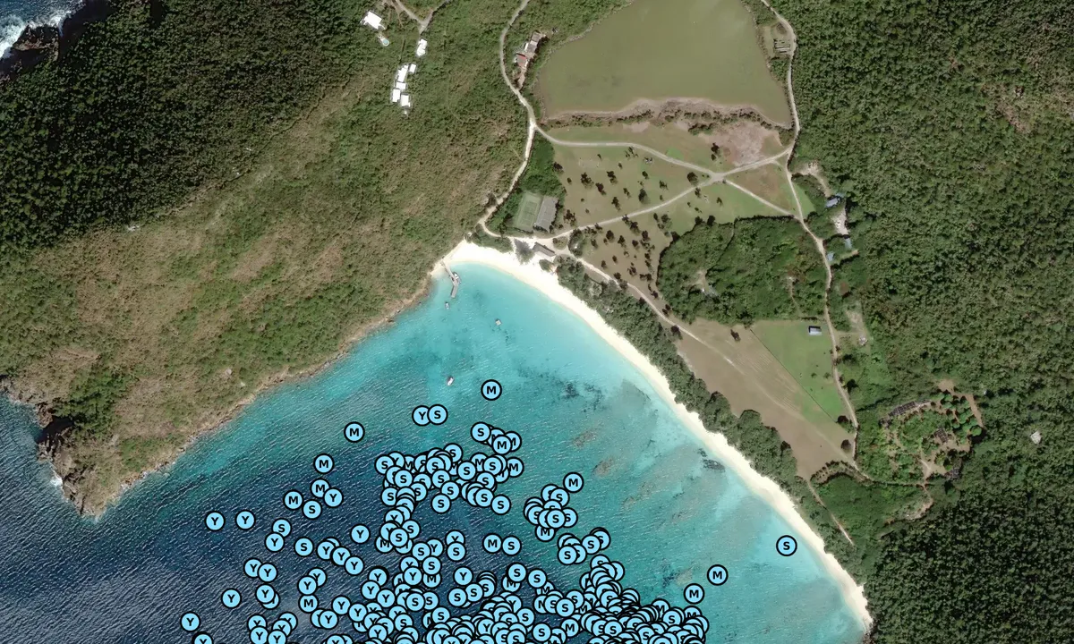 Satelite image of Guana Island
