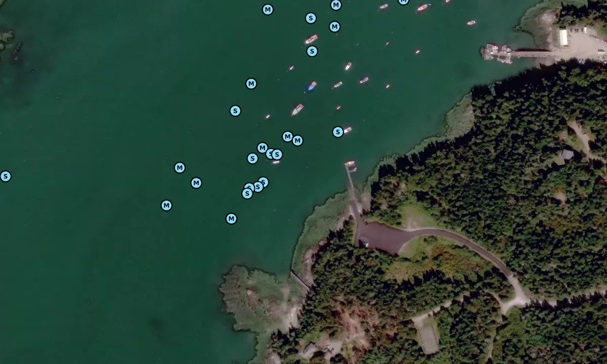 Satelite image of Guest Mooring