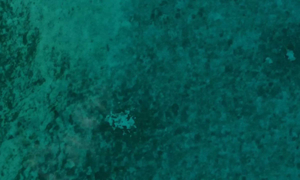 Flyfoto av Gun Cay Cut Northeast