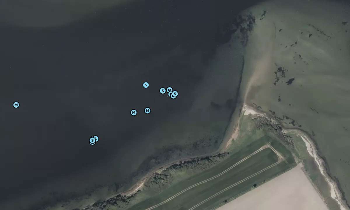 Satelite image of Haderslev fjord