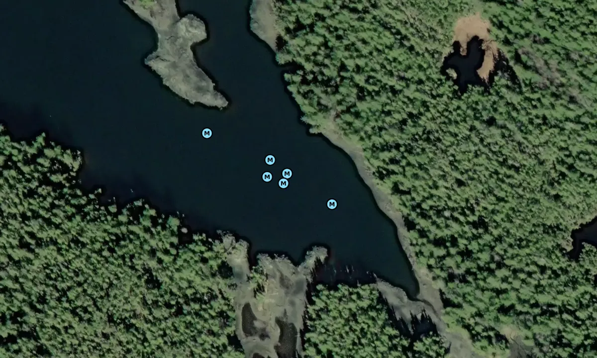 Satelite image of Halliday Nook
