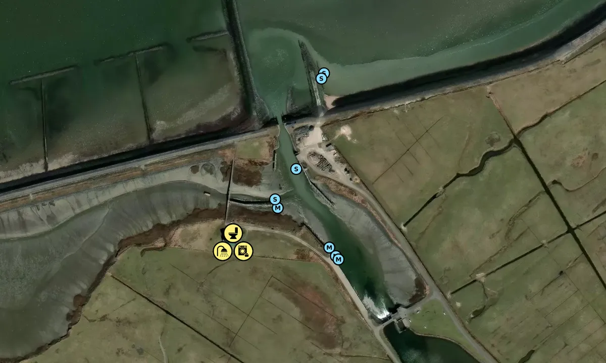 Satelite image of Hallig Hooge