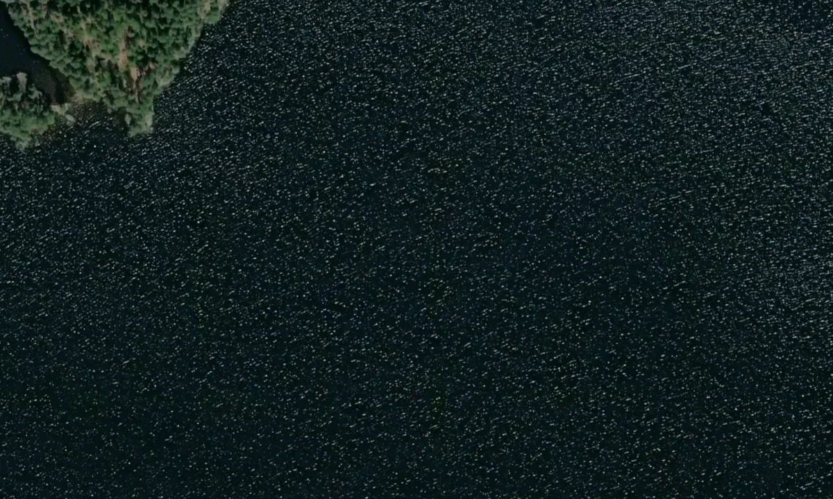 Satelite image of Hallön